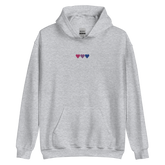 Embroidered Bisexual Hoodie: Pride Flag Horizontal Heart Design